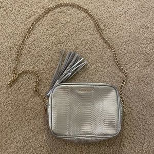 Silver Purse